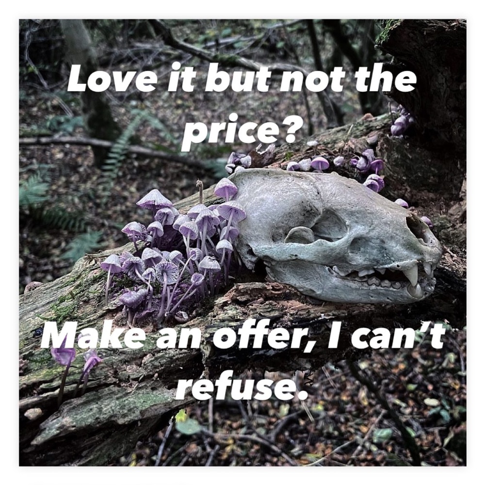 Everything must go.